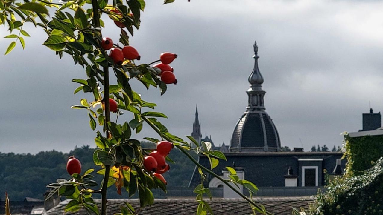 Artstudio Rudesheim Apartment ฮูเดสไฮม์ แอม ไฮน์ ภายนอก รูปภาพ