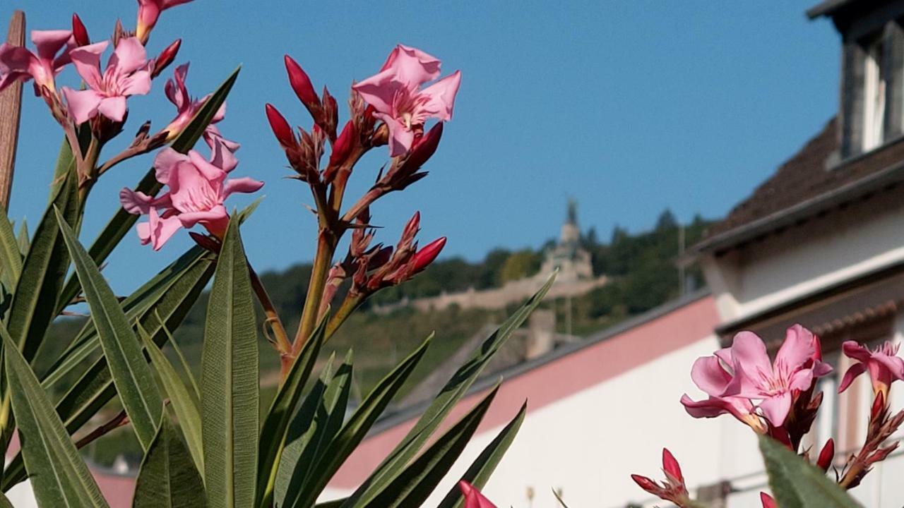 Artstudio Rudesheim Apartment ฮูเดสไฮม์ แอม ไฮน์ ภายนอก รูปภาพ